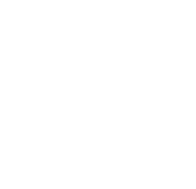 AI Solutions