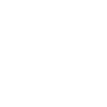 Data Insights